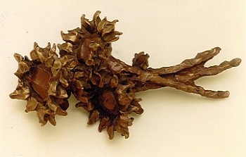 Jane DeDecker -&nbsp;Jane DeDecker Sunflower Bouquet, Ed. of 31