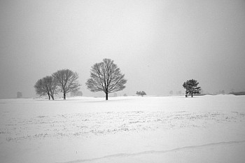 Debranne Cingari -&nbsp;Debranne Cingari Winter Silence