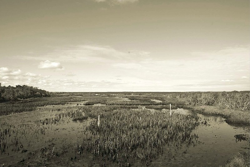 Debranne Cingari, Tides Out, Edition of 50, 2012
Pigment Photograph, 30 x 40 in. (76.2 x 101.6 cm)
DC7684