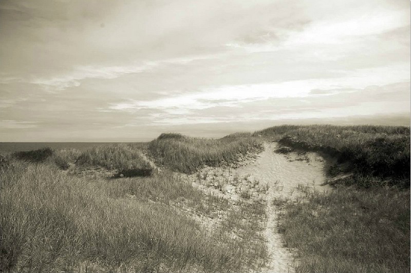 Debranne Cingari (PHOTOGRAPHY), Over the Dionis Dunes, Edition of 50, 2012
Pigment Photograph, 30 x 40 in. (76.2 x 101.6 cm)
DC4339