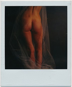 Work: Robert Farber Nude with Veil, Edition of 9