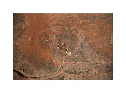 Debranne Cingari (PHOTOGRAPHY), Heart in Stone ed.1/10, 2006
photograph, 10 x 15 in. (25.4 x 38.1 cm)
DC050506