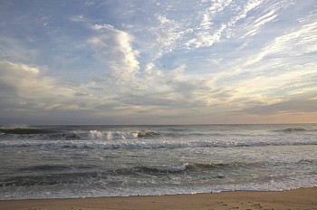 Debranne Cingari -&nbsp;Debranne Cingari Dionis Delights, Edition of 50