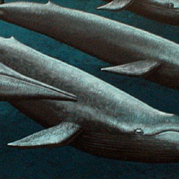 Exhibition: Cavalier Galleries 30th Anniversary,&nbsp;Leonard Everett Fisher