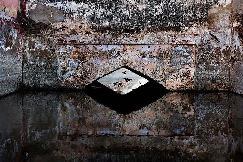 Steve McCurry, Stepwell and Birds, 2012
FujiFlex Crystal Archive Print, (Inquire for available sizes)
INDIA-11589