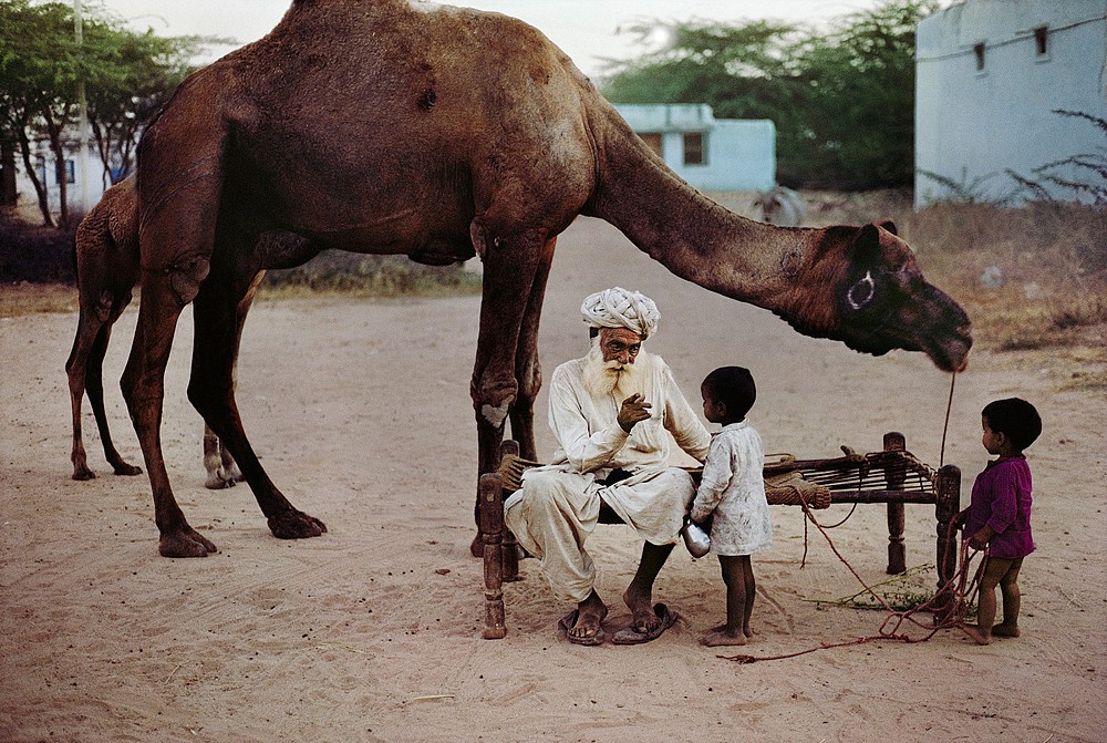 Steve McCurry, Grandfather and Camel, 1996
FujiFlex Crystal Archive Print, (Inquire for available sizes)
INDIA-10211