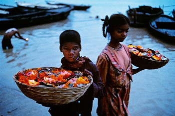 Steve McCurry - Steve McCurry Flower Offerings
