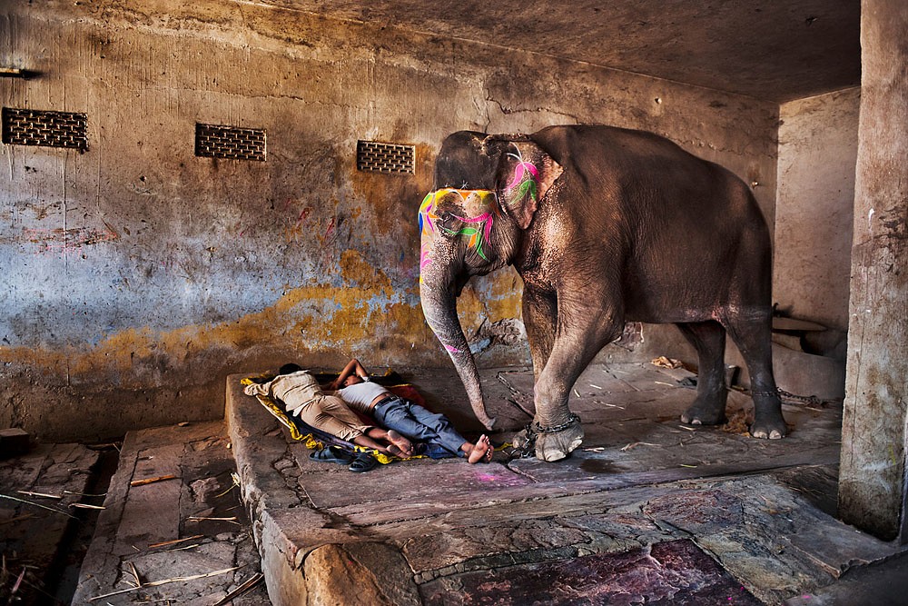 Steve McCurry, Elephant with Sleeping People, 2012
FujiFlex Crystal Archive Print, 20 x 24 in. (Inquire for additional sizes)
INDIA-11527NF.2015