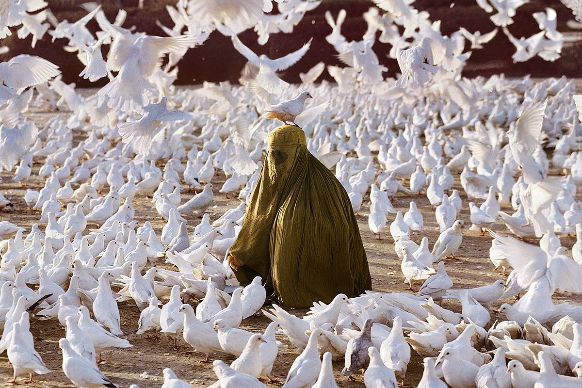 Steve McCurry, Pigeon Feeding Near Blue Mosque
FujiFlex Crystal Archive Print, 40 x 60 in. (Inquire for additional sizes)
AFGHN-12385NF4