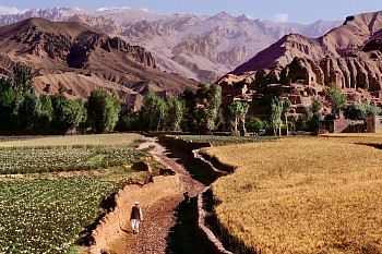 Steve McCurry - Steve McCurry Farmer Walks Through Fields