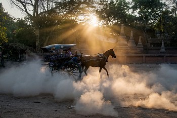 Steve McCurry - Steve McCurry Horse Drawn Buggy