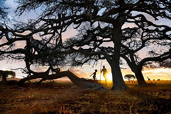 Steve McCurry - Steve McCurry Silhouette of Men During Sunset