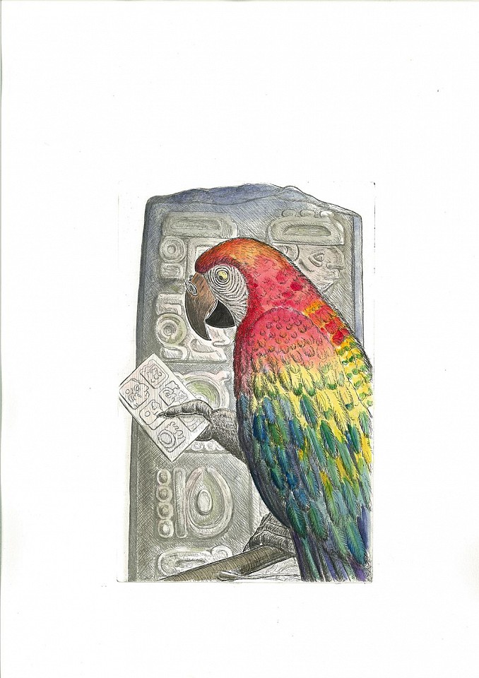 Bjorn Skaarup, Scarlet Macaw, Honduras, Edition of 50, 2016
Color engraved etching, 12 x 16 in. (30.5 x 40.6 cm)
BS170211