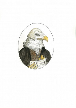 Work: Bjorn Skaarup Bald Eagle, USA, Edition of 50