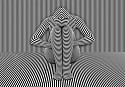 Parish Kohanim, Stripes Study III
Fuji Crystal Archive Embedded into Diasec