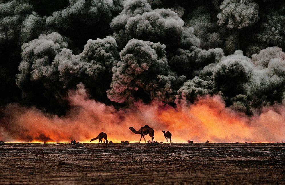 Steve McCurry, Camel and Oil Fields, Al Ahmadi, Kuwait, 1991
FujiFlex Crystal Archive Print, 20 x 24 in. (Inquire for additional sizes)
KUWAIT-10001