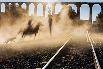 Steve McCurry - Steve McCurry Aqueduct of Padre Tembleque, Mexico