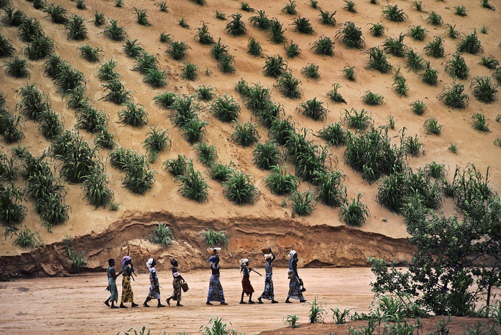 Steve McCurry, Women Walking in a Line, Niamey, Niger, 1986
FujiFlex Crystal Archive Print, 30 x 40 in. (Inquire for additional sizes)
NIGER-10001NF