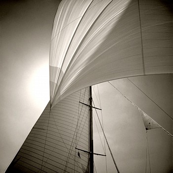 Michael Kahn - Michael Kahn Spinnaker and Mainsail of Cambria