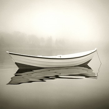 Michael Kahn - Michael Kahn Wild Rose, Edition of 10