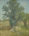 Julian Alden Weir, Tree and Meadow, Connecticut
1900, oil on canvas