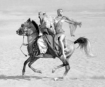 Norman Parkinson - Norman Parkinson Queen of the Desert, Queen Magazine, Ed. of 21