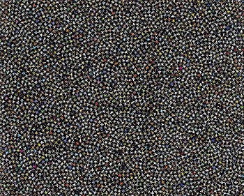 Work: Magdalena Murua Estrellada