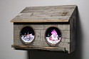 Troy Abbott, Two City Chicks in Gray
2019, Wood, mixed media, video