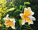 David Peikon, Lilies for John Singer Sargent
2019, oil on linen