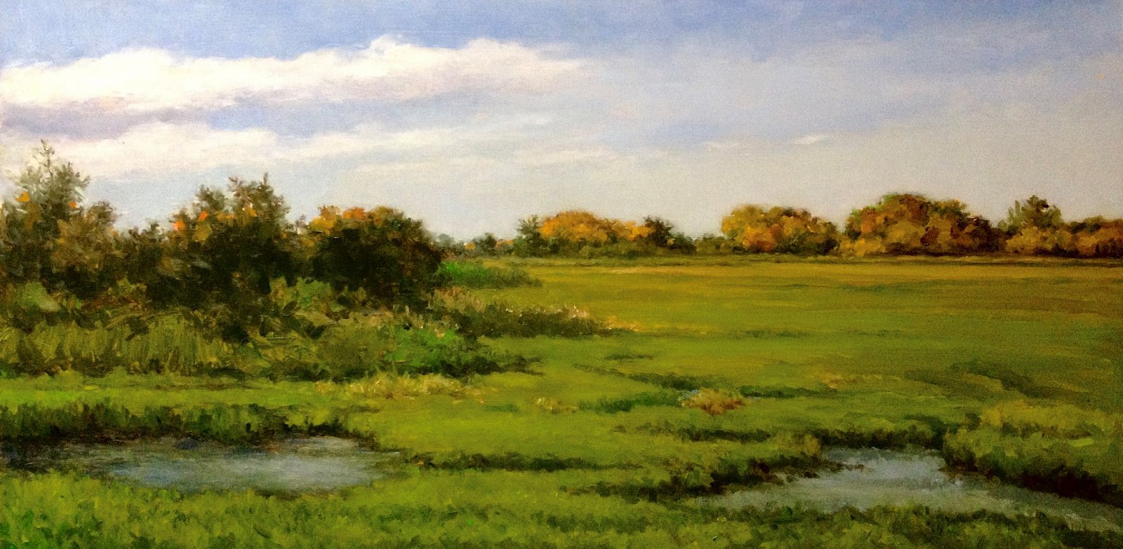 David Peikon, Marsh Grass, 2017
oil on panel, 12 x 24 in. (30.5 x 61 cm)
DP200125