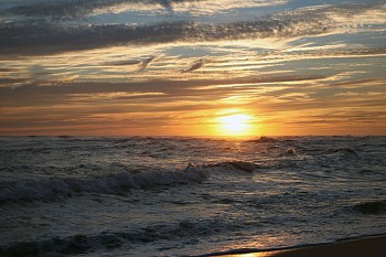 Debranne Cingari -&nbsp;Debranne Cingari Colorful Cisco IV, Ed. of 10