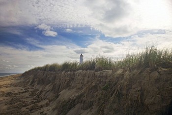 Debranne Cingari - Debranne Cingari In the Distance, Ed. of 7