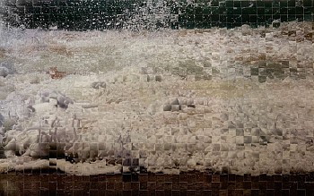 Debranne Cingari - Debranne Cingari Turbulence 3