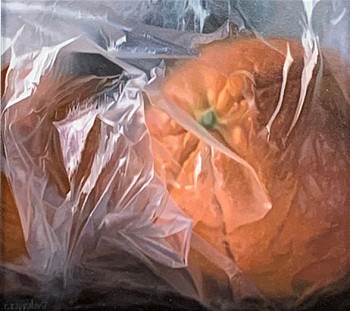 Robert E. Zappalorti - Robert E. Zappalorti Orange Under Wraps