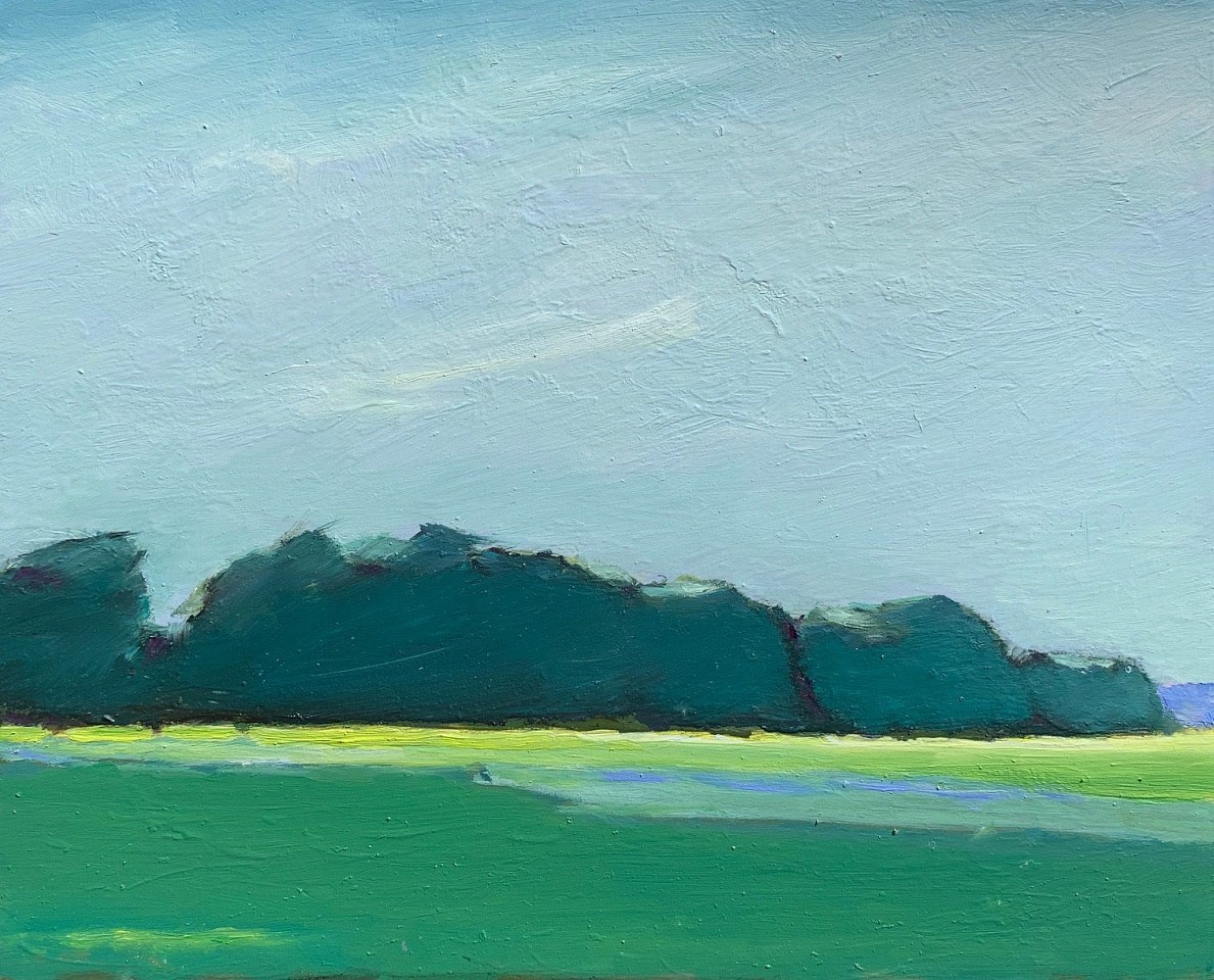 Maureen Chatfield, Wind Break, 2020
oil on canvas, 8 x 10 in. (20.3 x 25.4 cm)
MC201102