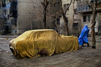 Work: Steve McCurry Woman Walks Home