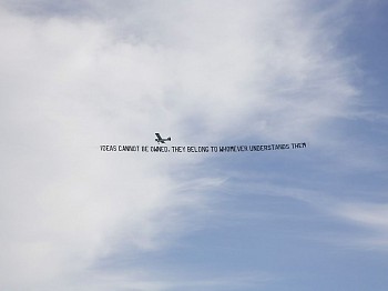 Debranne Cingari - Debranne Cingari Ideas Cannot be Owned