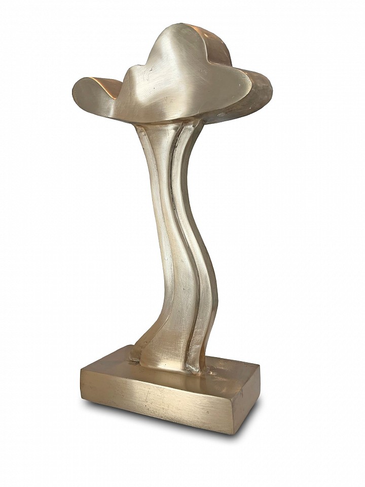 Hans Van de Bovenkamp, Cloud, Ed. 5/25, 2014
polished bronze, 11 x 5 1/2 x 2 1/2 in. (27.9 x 14 x 6.3 cm)
HVB210201