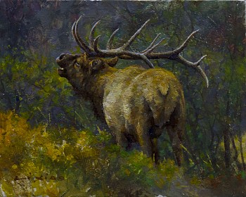 Li Xiao - Li Xiao The Call