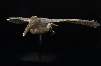 Work: Steven Simmons Pelican in Flight