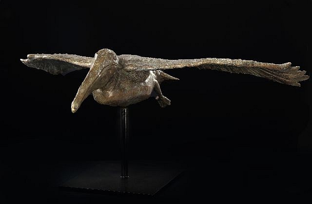 Steven Simmons, Pelican in Flight
bronze, 18 x 24 in. (45.7 x 61 cm)
SS200225