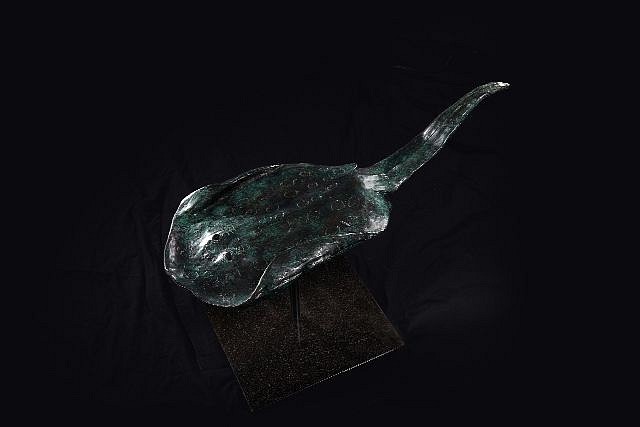 Steven Simmons, Spotted Sting Ray
bronze, 27 x 16 x 11 in. (68.6 x 40.6 x 27.9 cm)
SS210903
