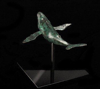 Work: Steven Simmons Young Humpback Whale