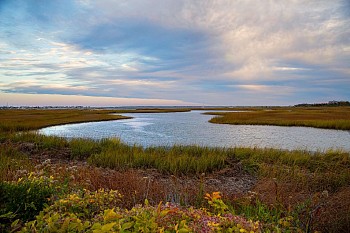 Work: Debranne Cingari Peace Within, Ed. 1/7