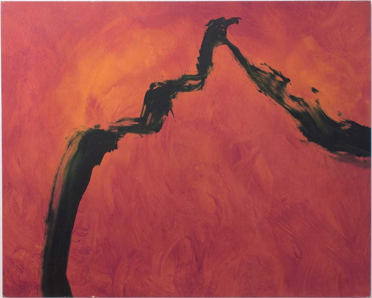 Cleve Gray, Red Mountain, 1992
acrylic on canvas, 48 1/2 x 60 1/2 in. (123.2 x 153.7 cm)
9809