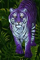 Helmut Koller, Purple Tiger
2023, archival pigment print and acrylic on paper
