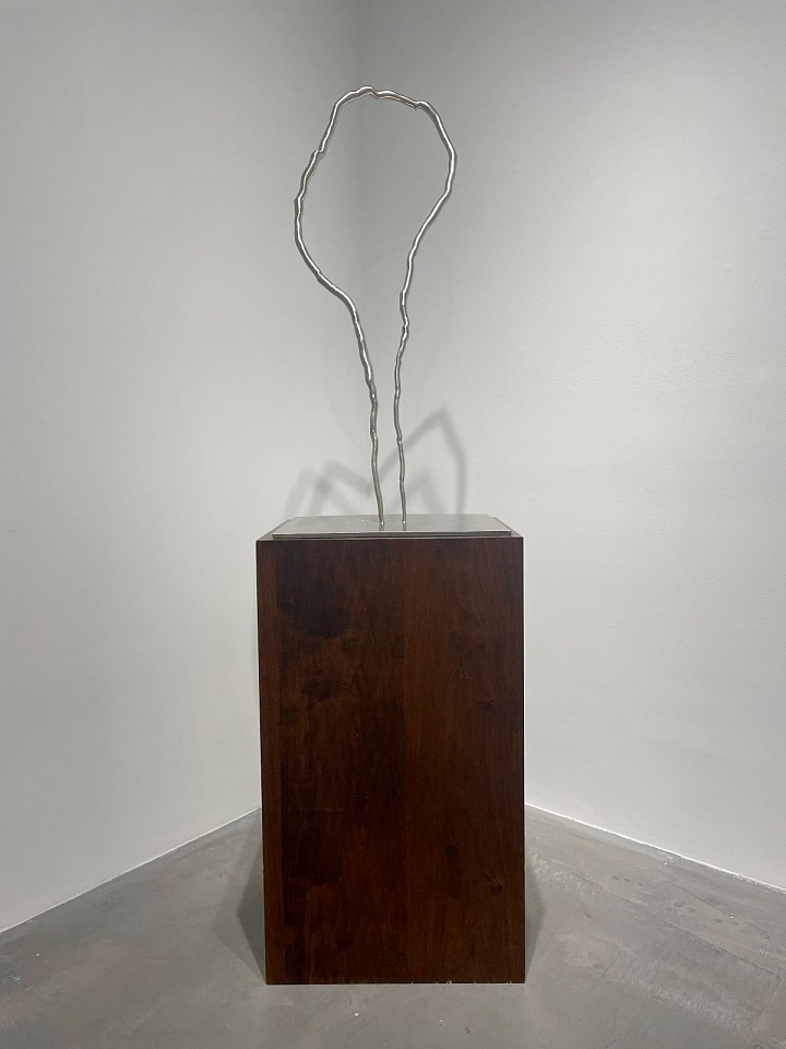 Roxy Paine, Maquette for Portal, 2013
stainless steel, 43 x 20 x 18 1/2 in. (109.2 x 50.8 x 47 cm)
RP220101