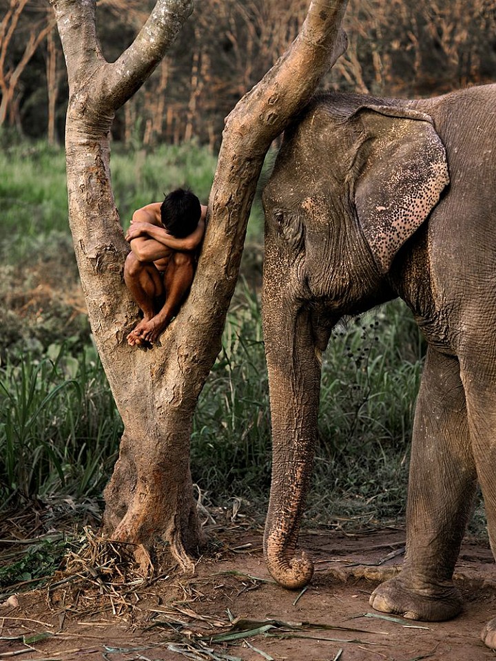 Steve McCurry, Mahout and His Elephant, Chiang Mai, Thailand, Ed. of 30, 2010
FujiFlex Crystal Archive Print, 24 x 20 in.
THAILAND-10034NF
