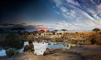 serengeti national park (1)