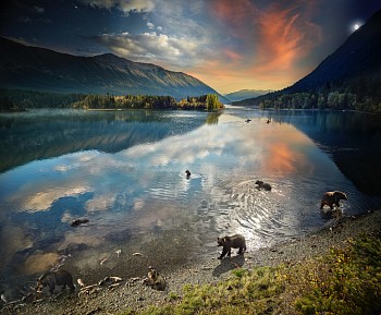 Stephen Wilkes - Stephen Wilkes Grizzly Bears, Chilko Lake, B.C., Day to Night, Ed. 2/12
